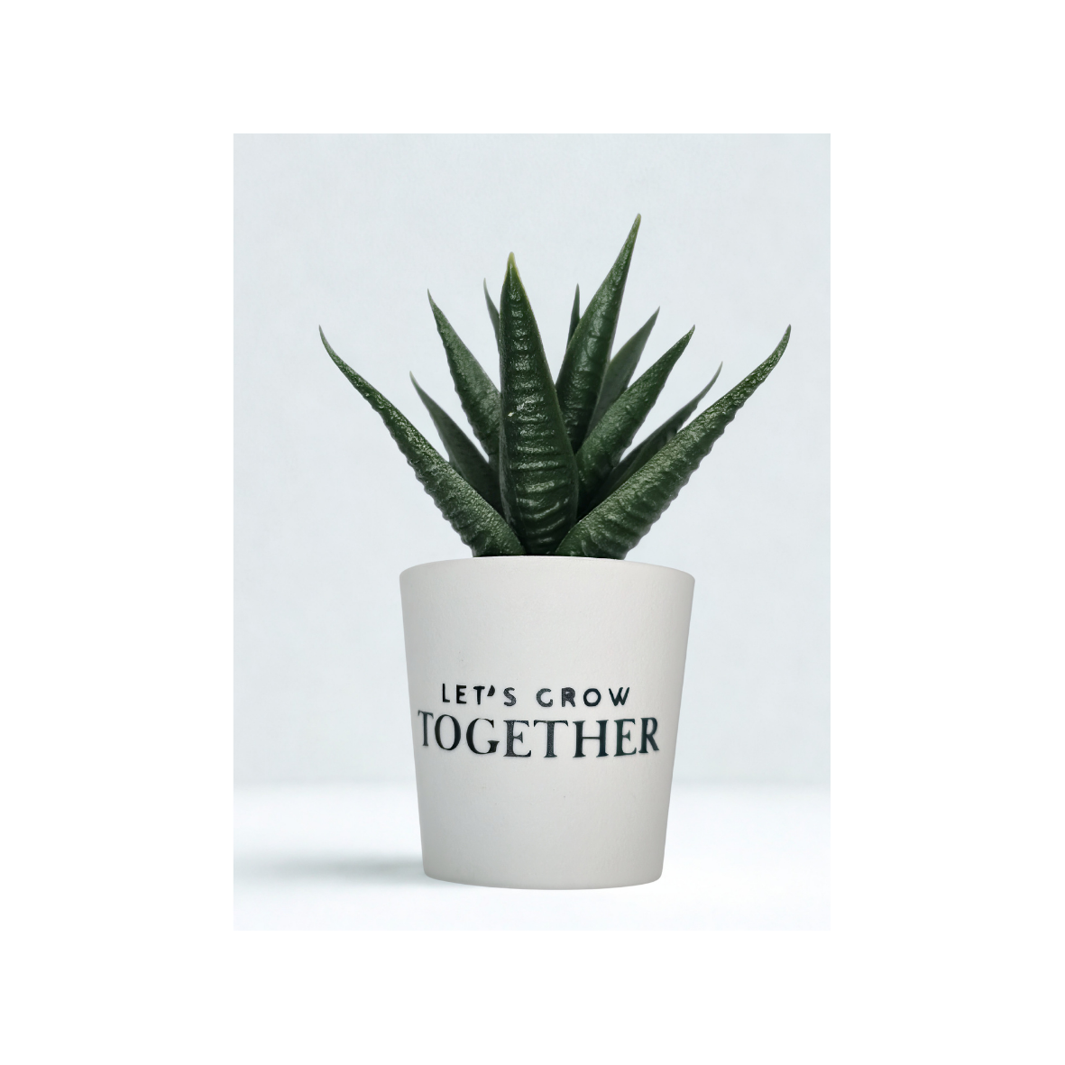 4"x2"Mini Artificial Succulent-Welcome aboard