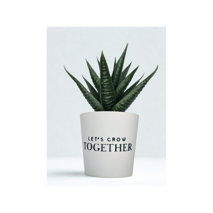 4"x2"Mini Artificial Succulent-Welcome aboard